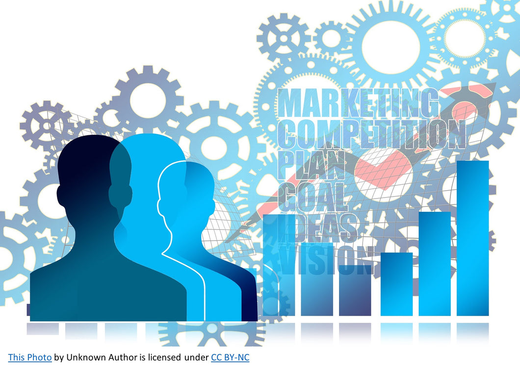 Management Consulting - Small and Mid-Size Business